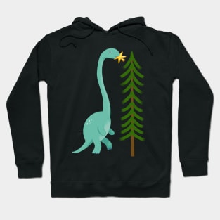 Dinosaur celebrating holidays Hoodie